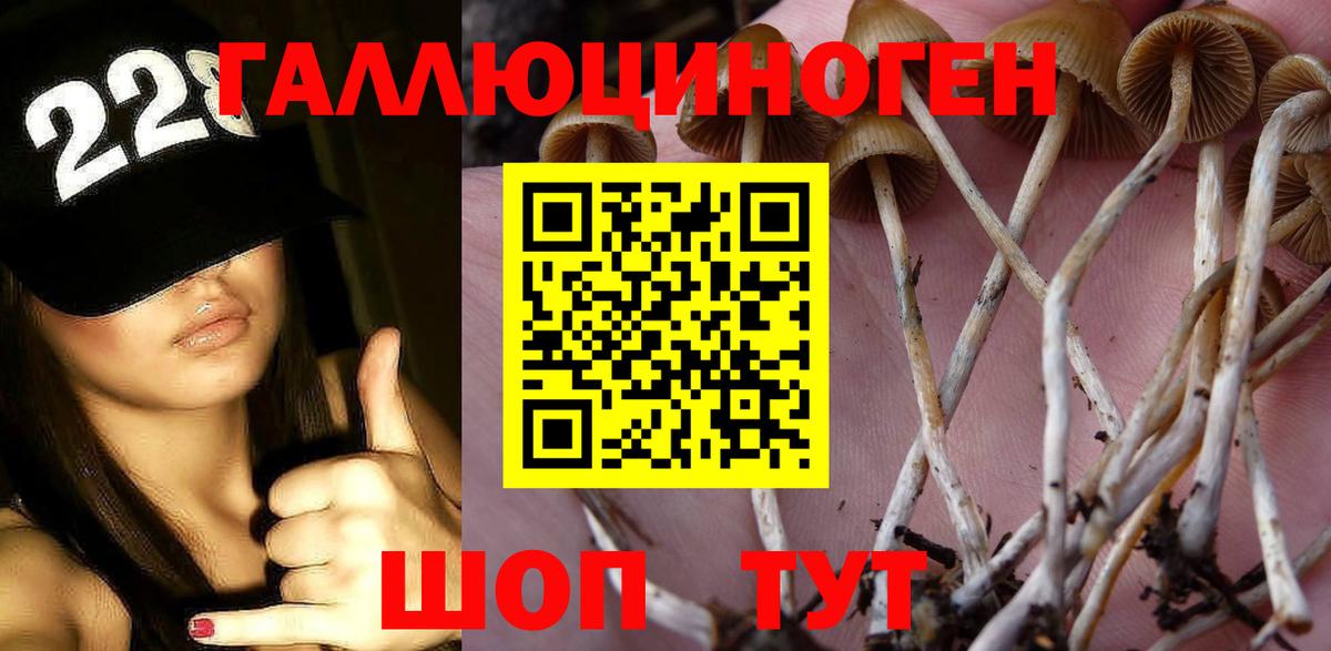Псилоцибиновые грибы ЛСД  Псилоцибиновые грибы Psilocybe  Вход с VPN  Братск 
